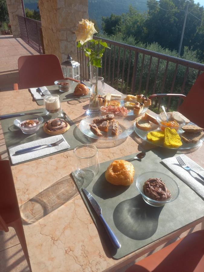 La Terrazza In Collina Acomodação com café da manhã Cavalo Exterior foto